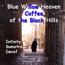 Infinity - Sumatra Decaf - Swiss Water Process