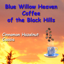 Cinnamon Hazelnut Cassia