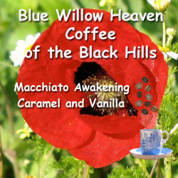Macchiato Awakening - Caramel Vanilla
