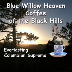 Everlasting - Colombian Supremo