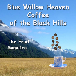 The Fruit - Sumatra