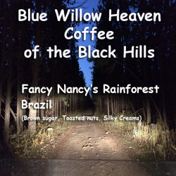 Fancy Nancy's Rainforest