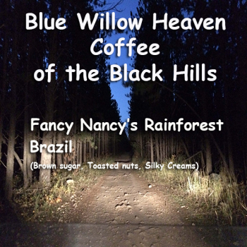 Fancy Nancy's Rainforest