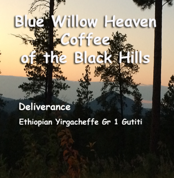 Deliverance - Ethiopian Yirgacheffe Gr 1