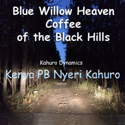 Kahuro Dynamics - Kenya PB Nyeri Kahuro