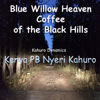 Kahuro Dynamics - Kenya PB Nyeri Kahuro