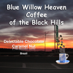 Delectable Chocolate Caramel Nut